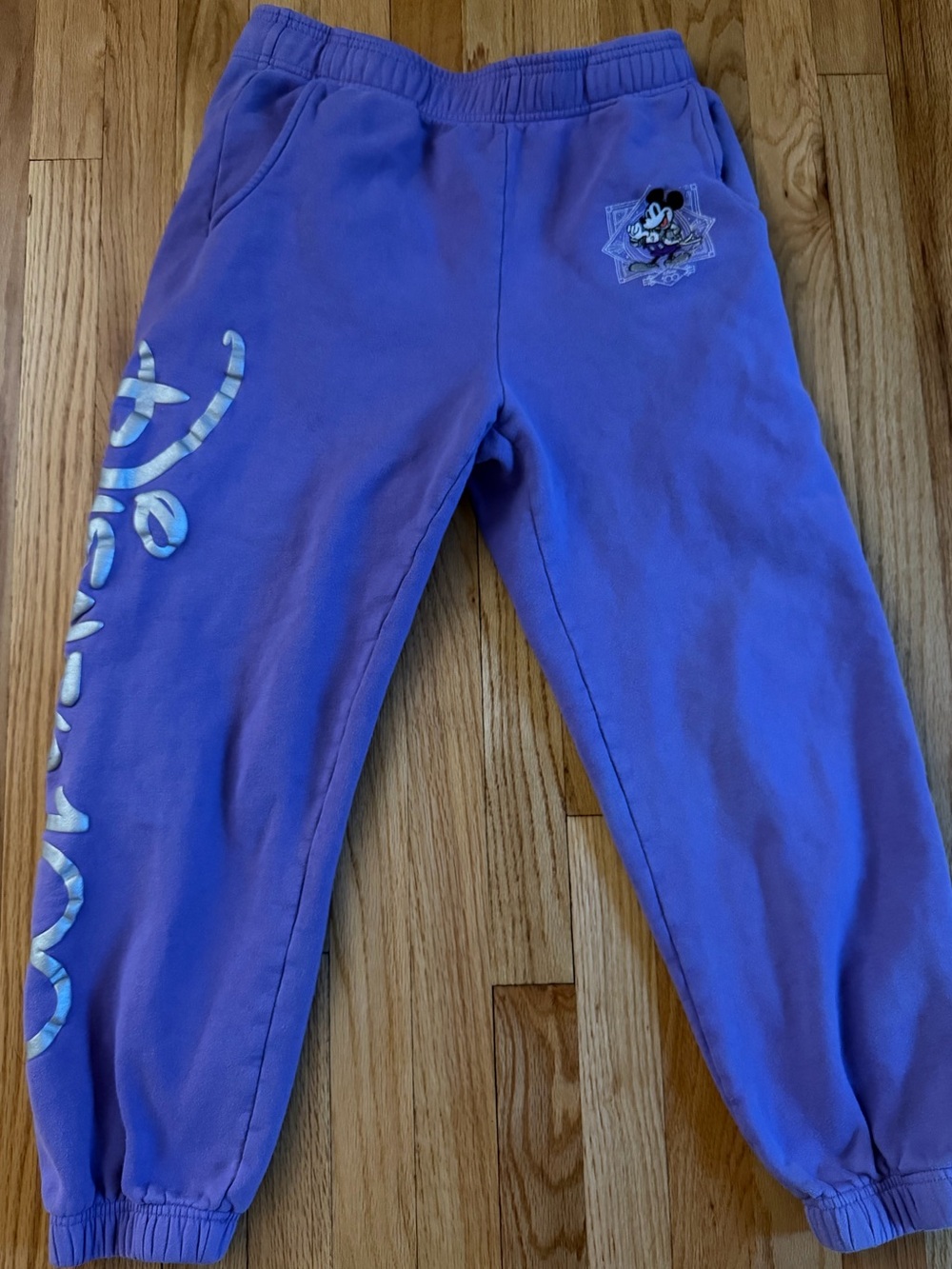 Disney 100 Years of Wonder purple fleece joggers